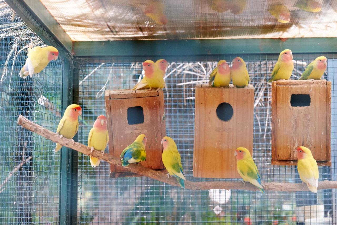 达艾尼文花园酒店&鸟类动物园 马拉喀什 外观 照片